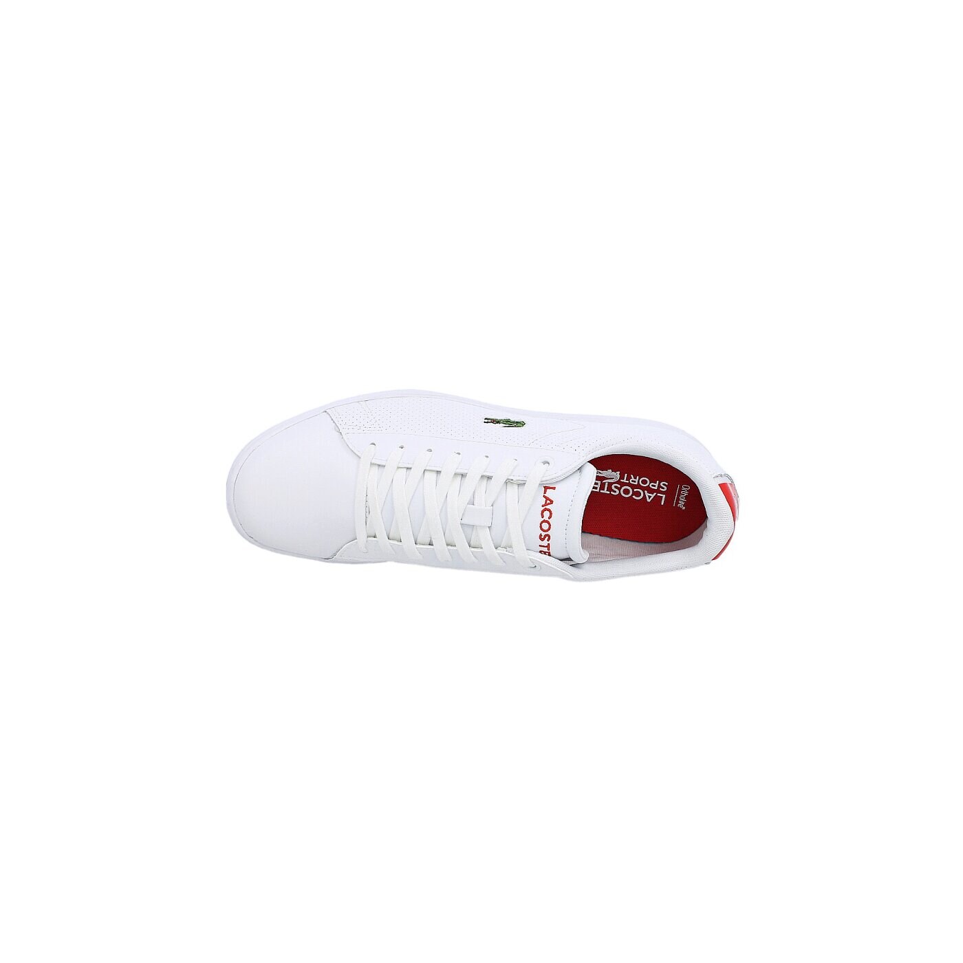 Męskie sneakersy (buty) LACOSTE CARNABY EVO NTE  729spm0010286 kolor biały