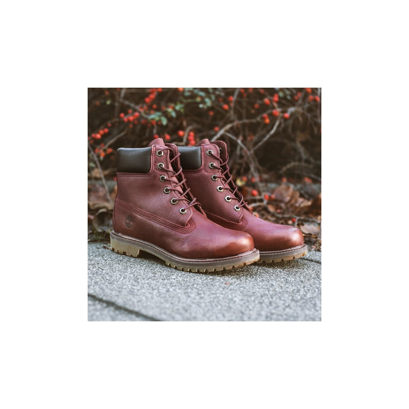 Damskie trapery TIMBERLAND PREMIUM 6 INCH BOOT - W  a12mf kolor bordowy