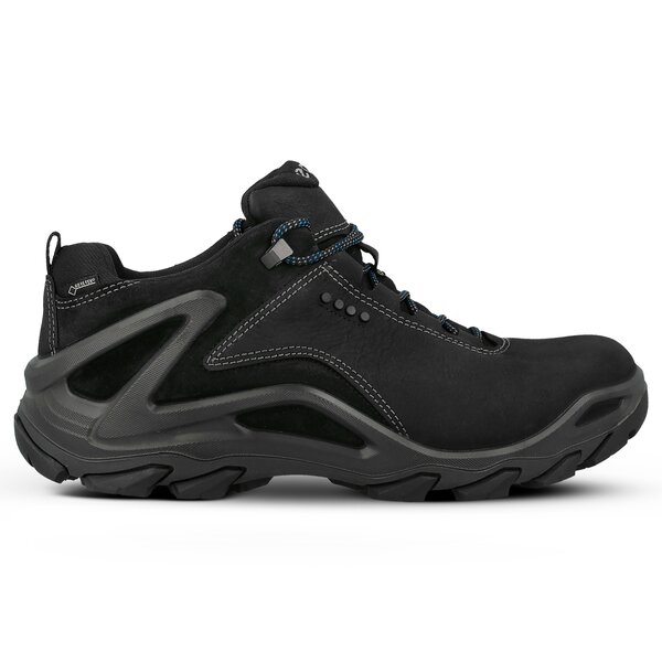 Męskie buty outdoor (trekkingowe) ECCO TERRA EVO 82652451052 kolor czarny