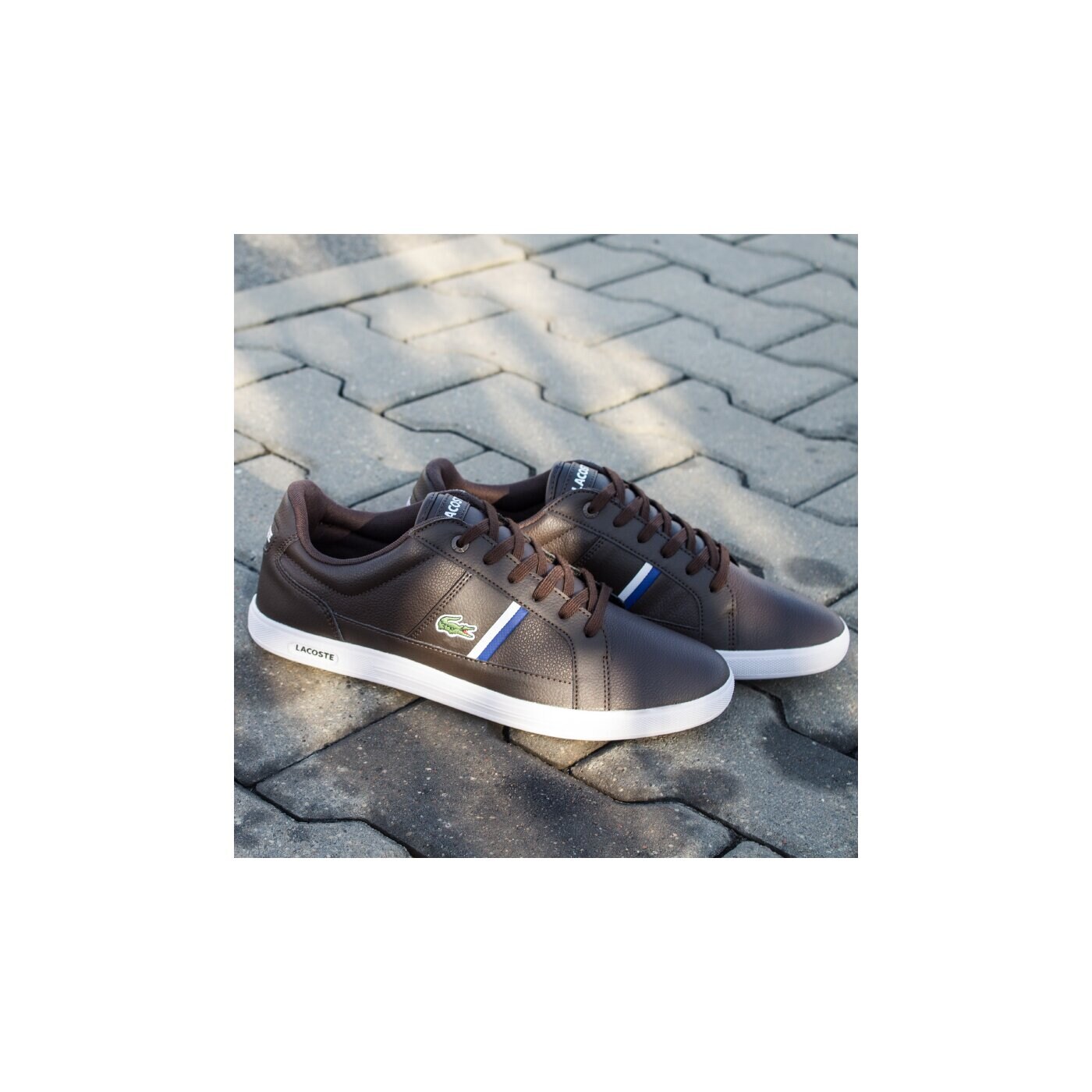 Męskie sneakersy (buty) LACOSTE EUROPA TCL  730spm0008db2 kolor brązowy