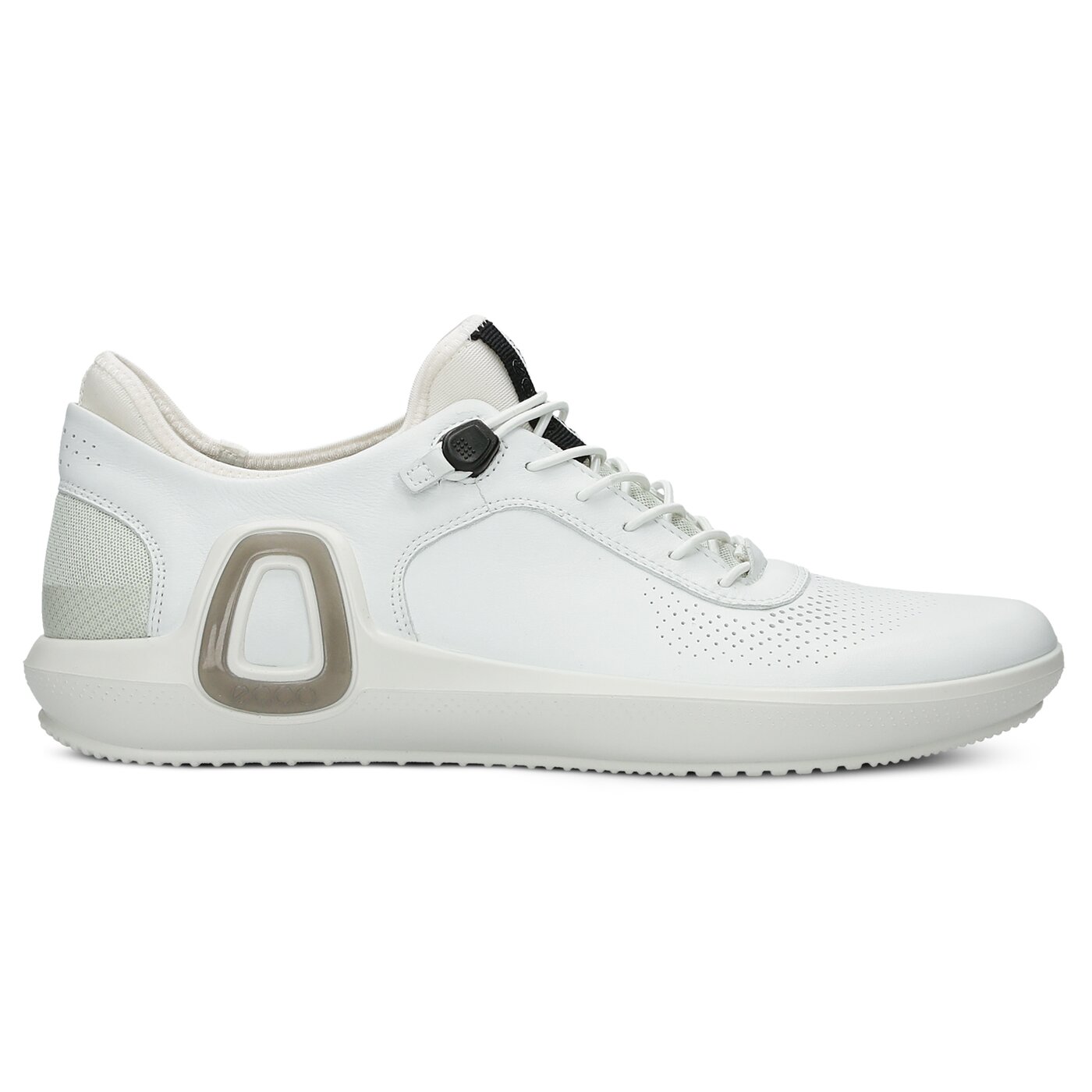 ecco intrinsic 3 2014