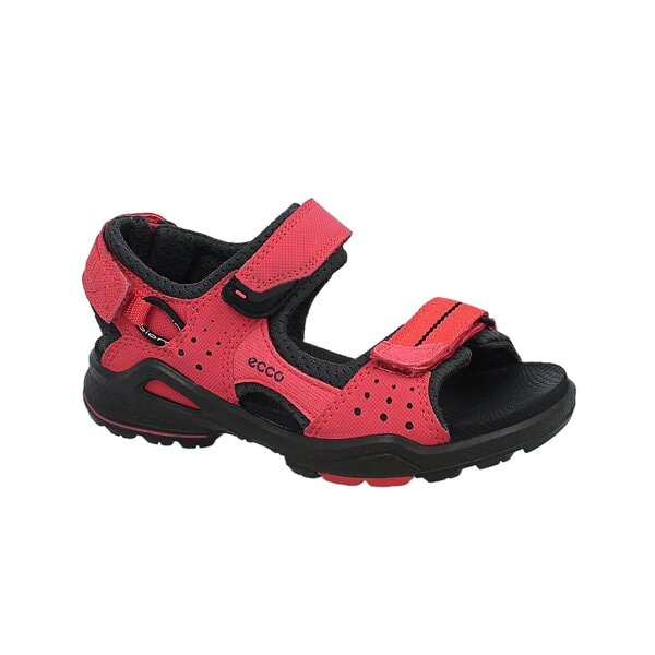 Dziecięce sandały / klapki ECCO BIOM SANDAL 70355258949 kolor różowy