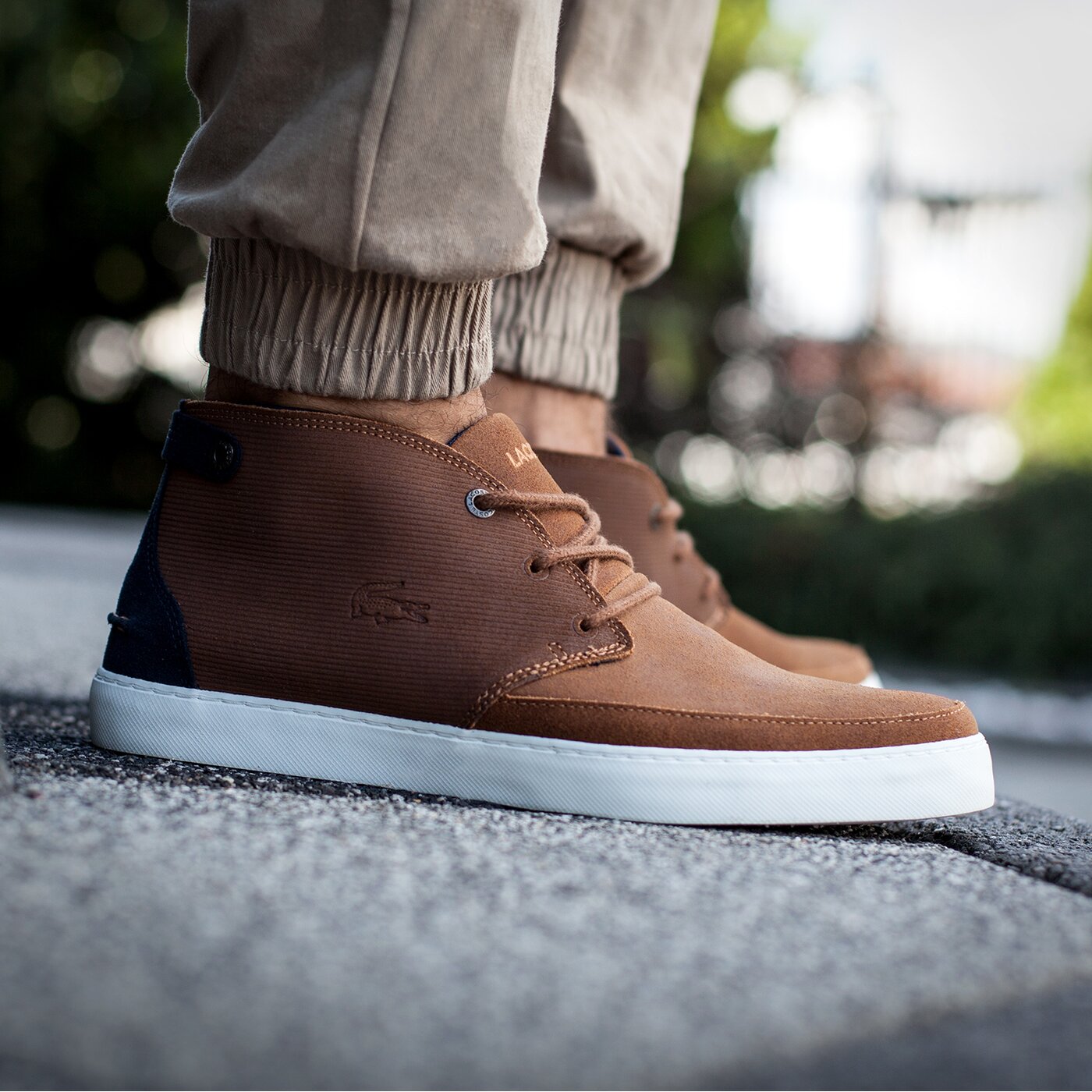 Męskie trampki LACOSTE CLAVEL M 316 1 732cam0012013 kolor brązowy