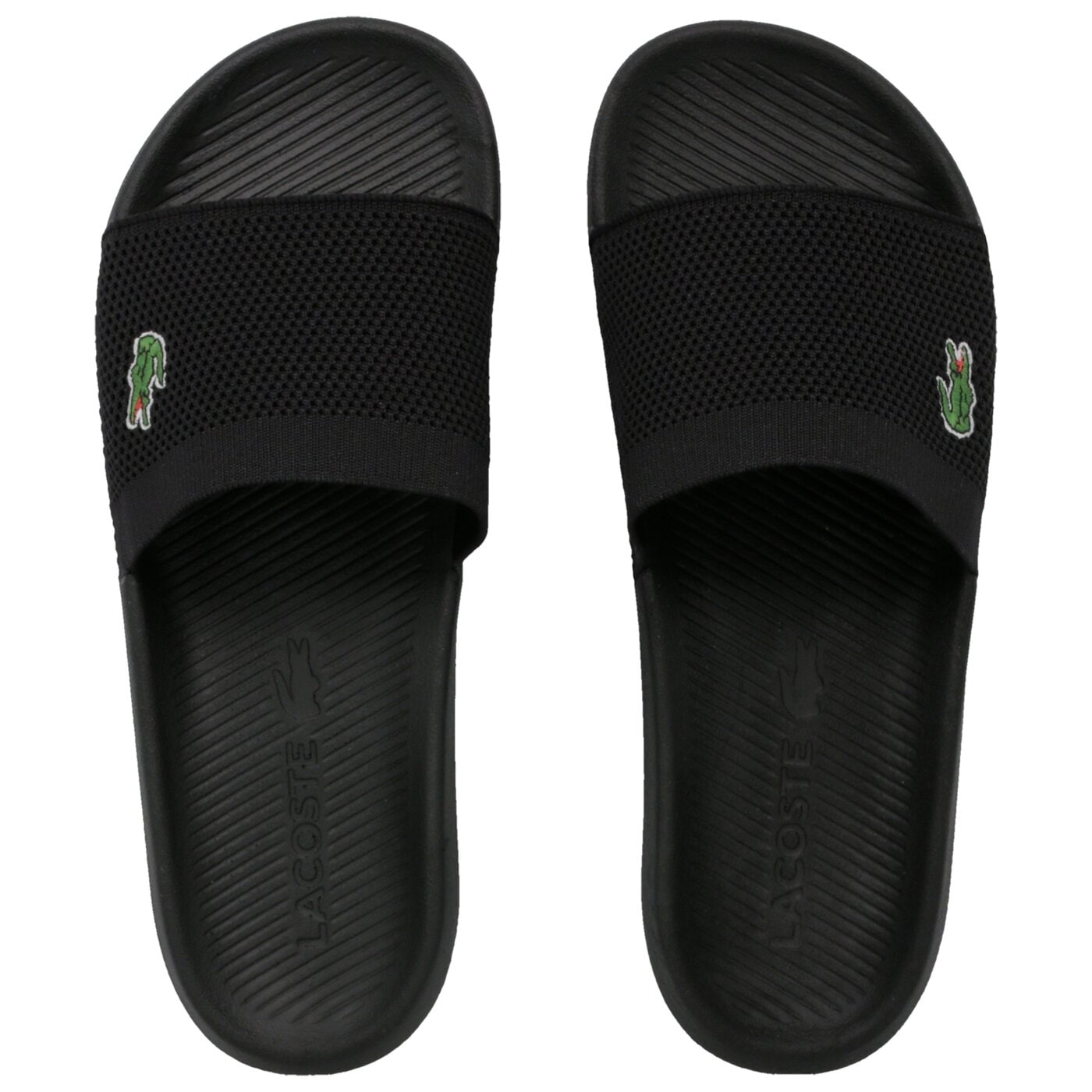 croco slide 219