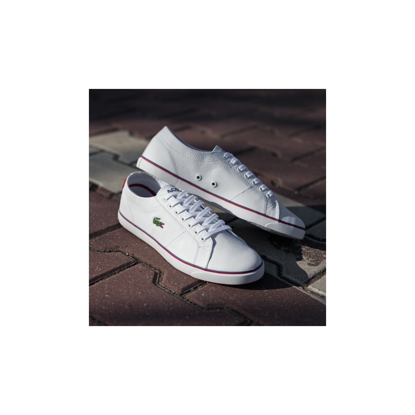 Męskie trampki LACOSTE MARCEL TCL  730spm002621g kolor biały