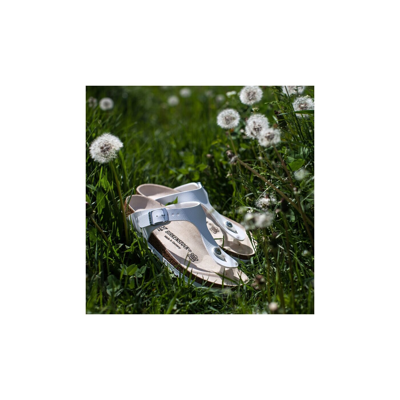 Damskie klapki BIRKENSTOCK GIZEH  43733 kolor biały