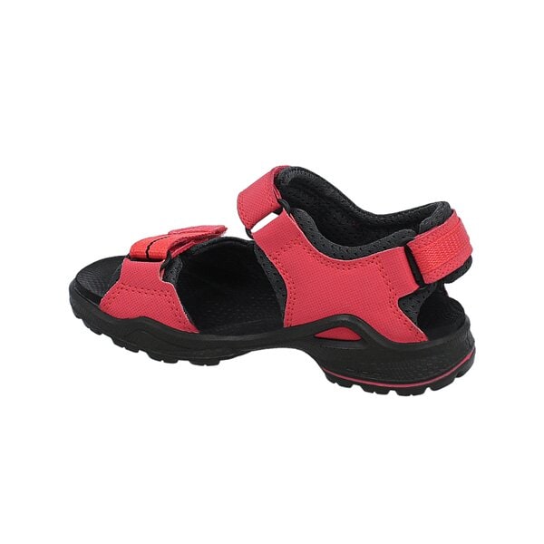 Dziecięce sandały / klapki ECCO BIOM SANDAL 70355258949 kolor różowy