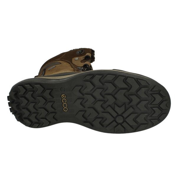 Męskie buty outdoor (trekkingowe) ECCO ECCO ROXTON 53200457167 kolor brązowy