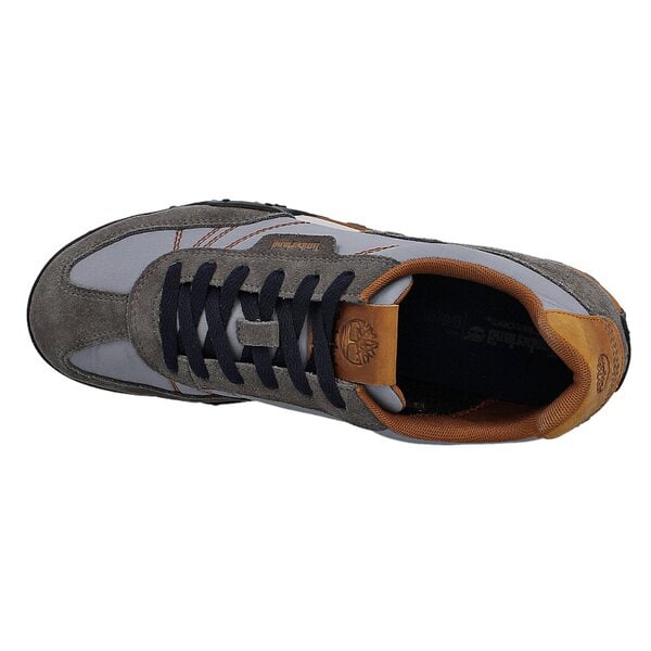 Męskie buty outdoor (trekkingowe) TIMBERLAND EK GREELEY LOW F/L 5830a kolor szary