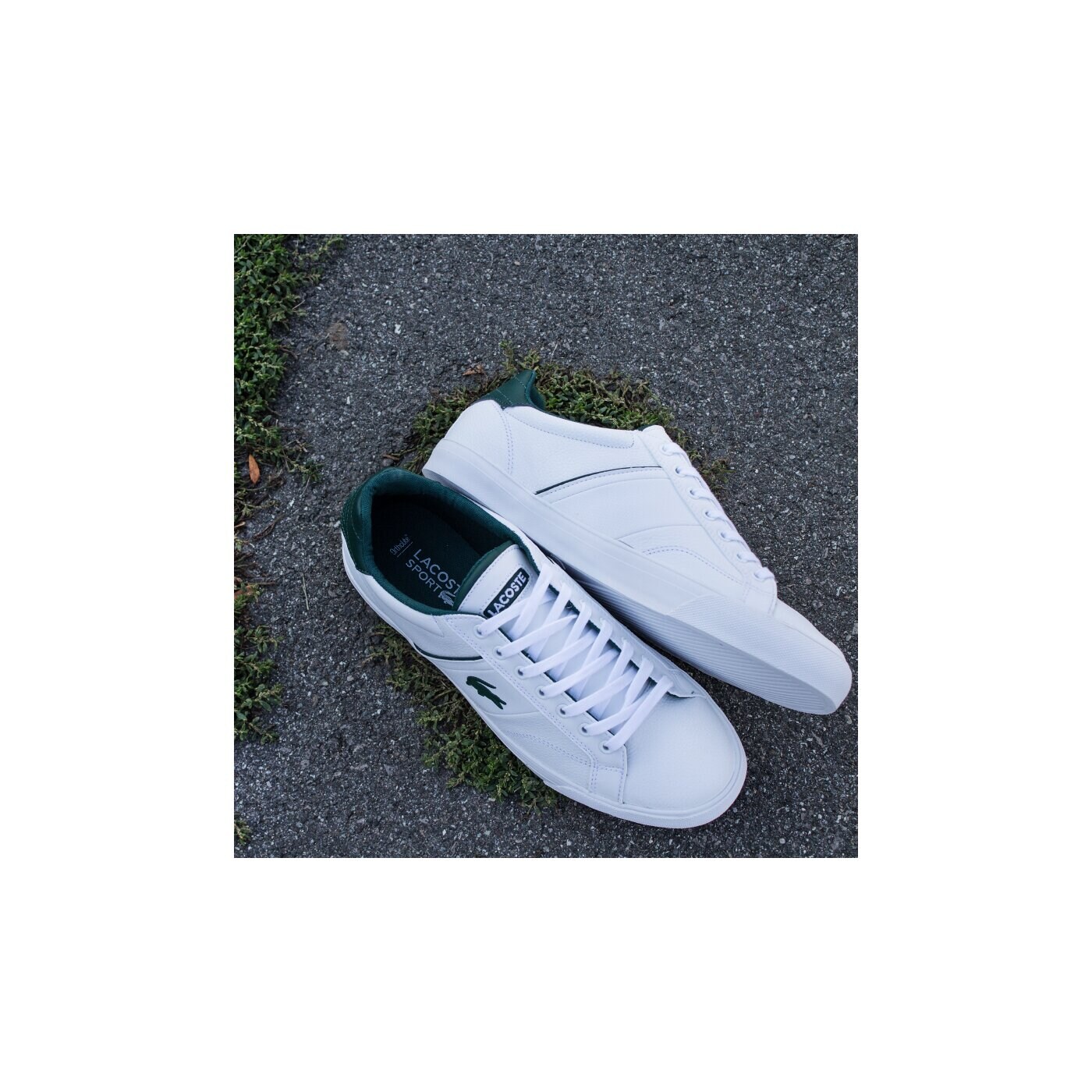 Męskie sneakersy (buty) LACOSTE FAIRLEAD REI  730spm001021g kolor biały