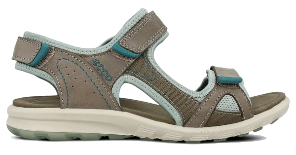 ecco cruise